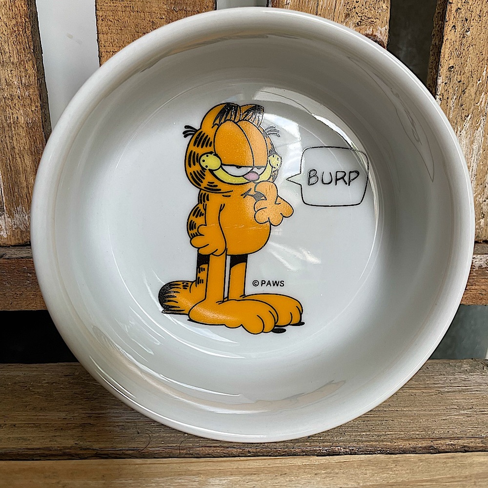 Garfield the Cat Food Bowl